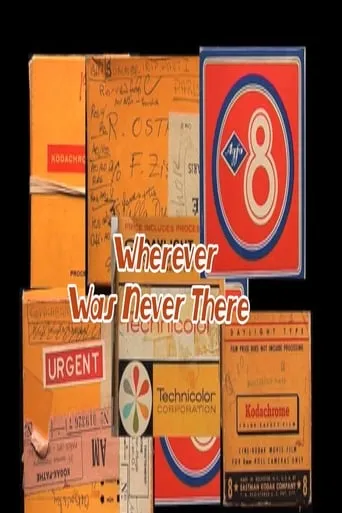 Wherever Was Never There movie poster - Entertainment content
