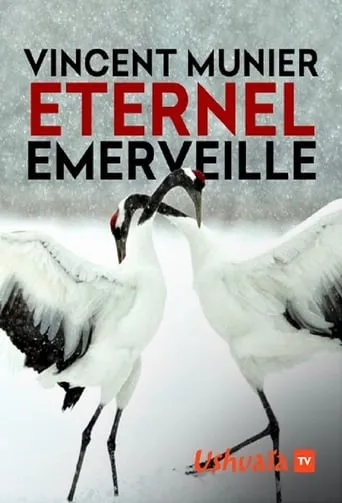 Vincent Munier, éternel émerveillé movie poster - Rated 10/10