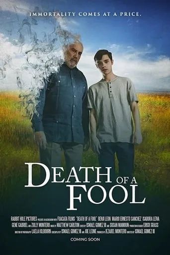 Death of a Fool movie poster - Rated 6/10