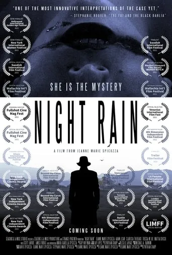 Night Rain movie poster - Entertainment content