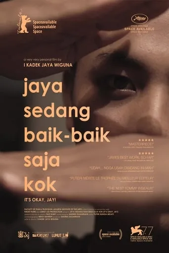 It's Okay, Jay! movie poster - Rated 4.8/10