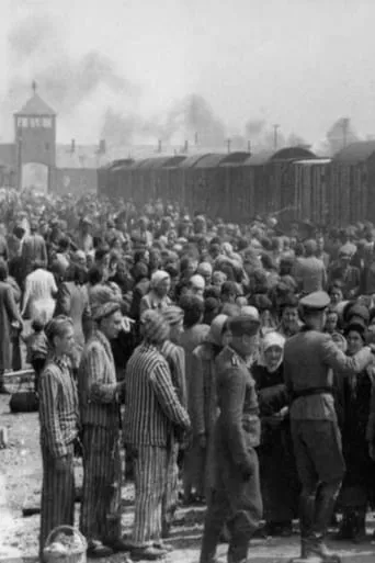 Dr Münch - läkare i Auschwitz movie poster - Entertainment content