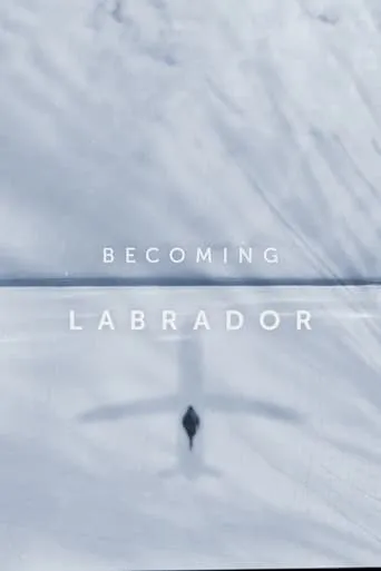 Becoming Labrador movie poster - Entertainment content