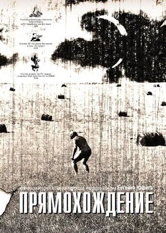 Bipedalism movie poster - Rated 3.6/10