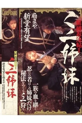 Ninja Sisters movie poster - Entertainment content