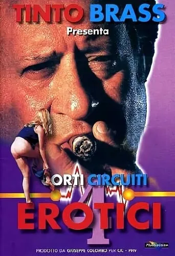 Erotic Short Circuits Vol.4 movie poster - Rated 5/10