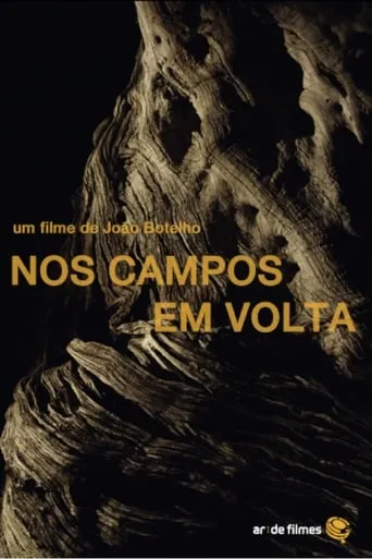 Nos Campos em Volta movie poster - Entertainment content