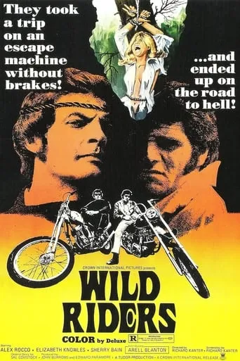 Wild Riders movie poster - Rated 4.2/10