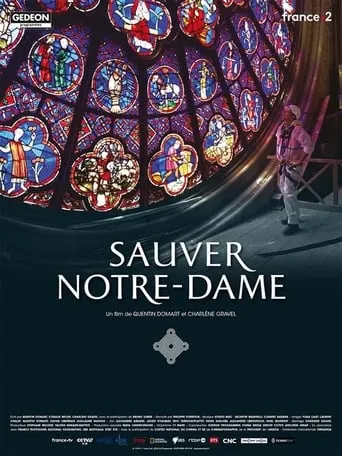 Sauver Notre-Dame movie poster - Rated 8/10