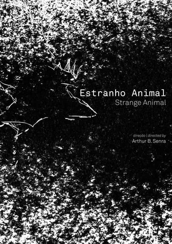 Estranho Animal movie poster - Entertainment content