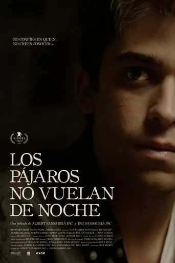 Birds Don’t Fly at Night movie poster - Rated 4.8/10