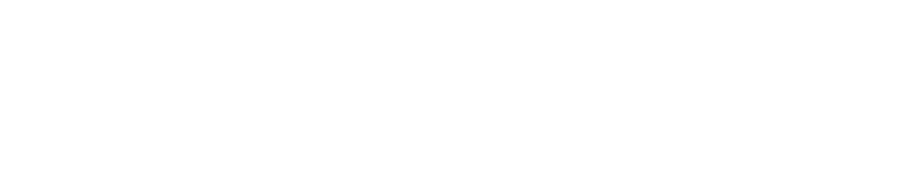 The Girl on the Train