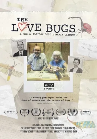 The Love Bugs movie poster - Rated 10/10