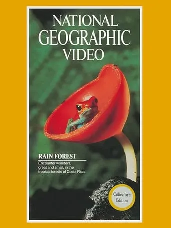 Rain Forest movie poster - Rated 8/10