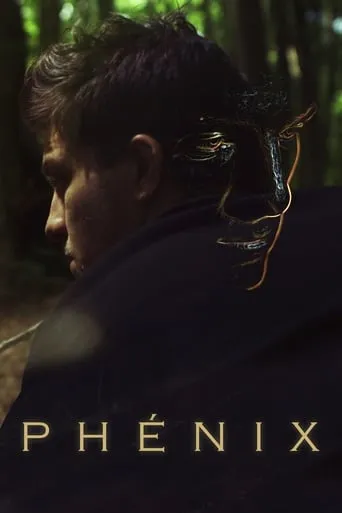 The Phoenix movie poster - Rated 5.714/10