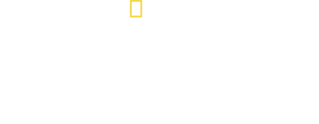Hitler The Junkie