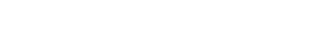 Thirteen Lives