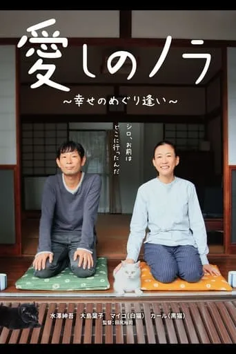Itoshi no Nora movie poster - Entertainment content