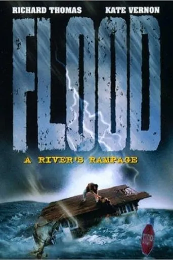 Flood: A River's Rampage movie poster - Rated 4.8/10