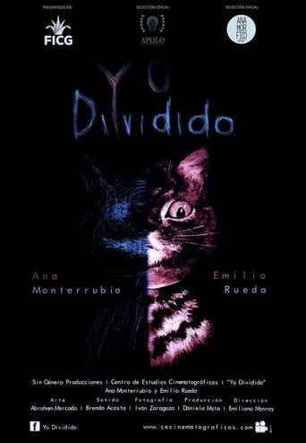 Yo Dividido movie poster - Rated 4/10