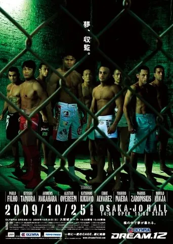 DREAM 12 movie poster - Rated 4.2/10