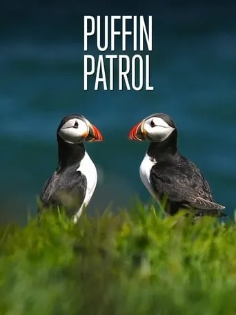 Puffin Patrol movie poster - Entertainment content