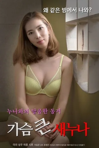 Big Breasts Sister movie poster - Entertainment content