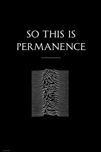Peter Hook & The Light: So This Is Permanent movie poster - Rated 10/10