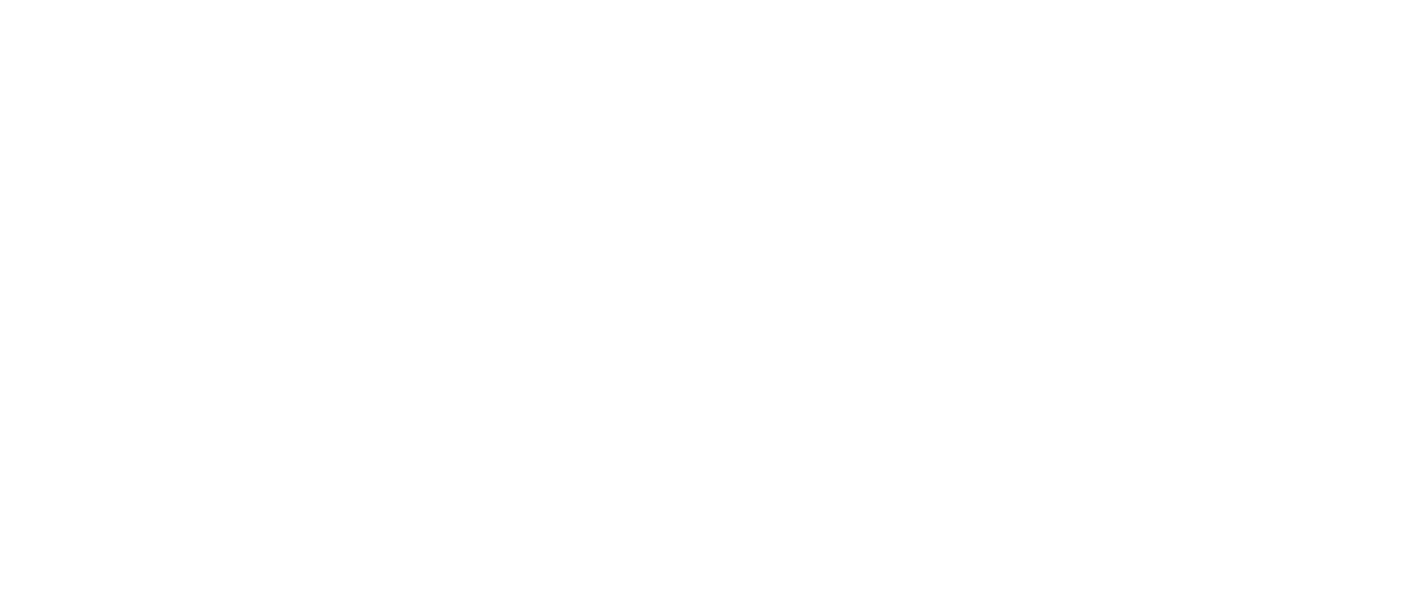 America's Great War 1917-1918