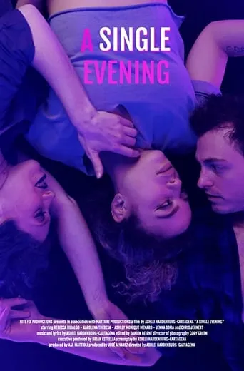 A Single Evening movie poster - Rated 8.4/10