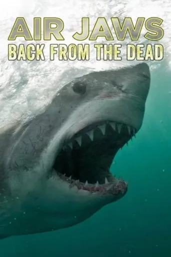 Air Jaws: Back From The Dead movie poster - Rated 5.3/10