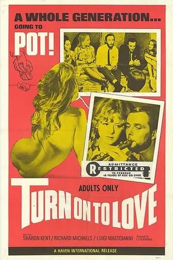 Turn On to Love movie poster - Rated 2/10