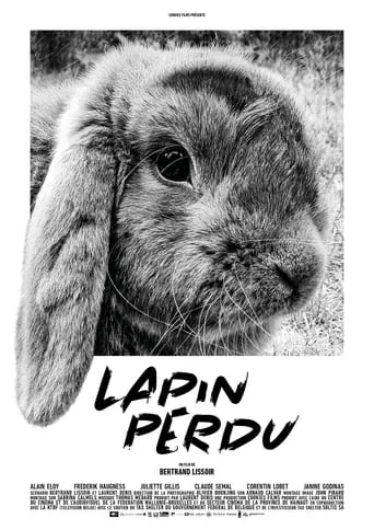 Lost Rabbit movie poster - Rated 5/10