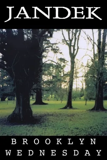 Jandek: Brooklyn Wednesday movie poster - Entertainment content