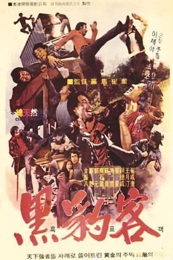 Black Guide movie poster - Entertainment content