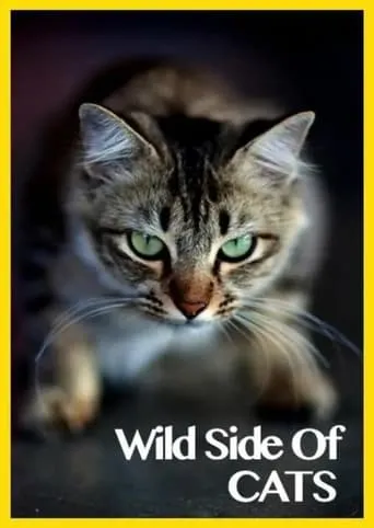Wild Side of Cats movie poster - Entertainment content