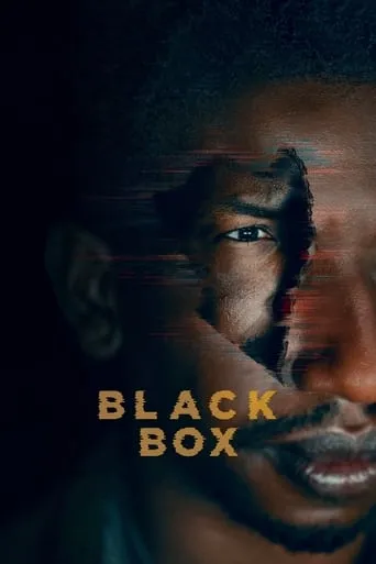 Black Box TV series poster - Rated 6.4/10