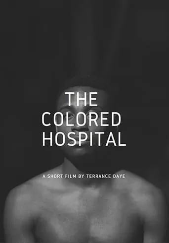 The Colored Hospital: A Visual Poem movie poster - Entertainment content