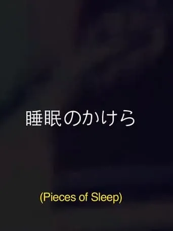 Pieces Of Sleep: The 1993 Japan Tour Re-Imagined movie poster - Entertainment content