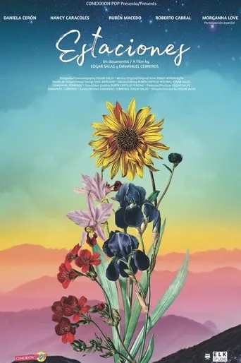 Estaciones movie poster - Entertainment content