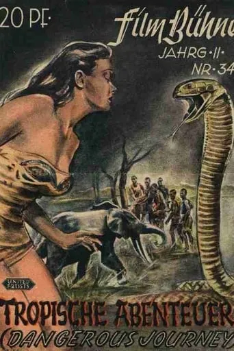 Dangerous Journey movie poster - Rated 10/10