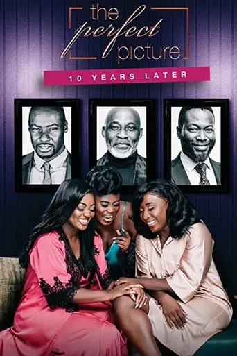 The Perfect Picture: Ten Years Later movie poster - Entertainment content