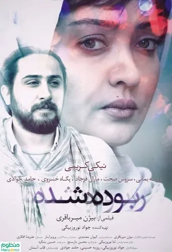 Stolen movie poster - Rated 4/10