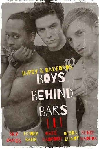 Boys Behind Bars 3 movie poster - Rated 2/10