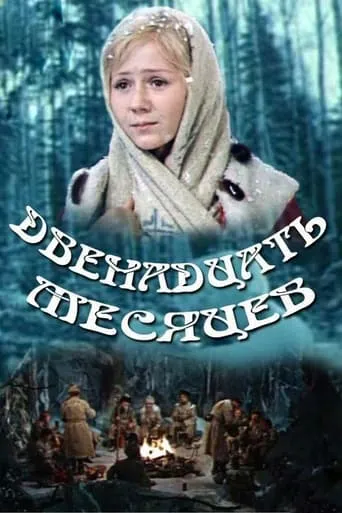 The Twelve Months movie poster - Rated 6.5/10