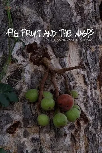 Fig Fruit and The Wasps movie poster - Entertainment content
