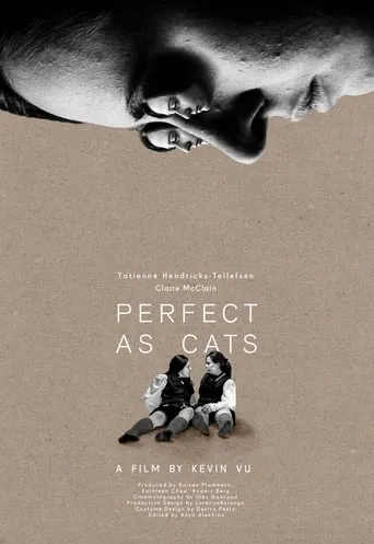 Perfect as Cats movie poster - Rated 10/10