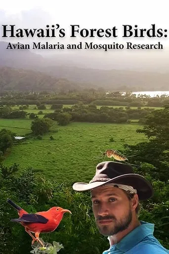 Hawaii's Forest Birds: Avian Malaria and Mosquito Research movie poster - Entertainment content