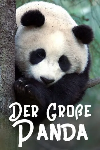 The Giant Panda movie poster - Rated 8/10