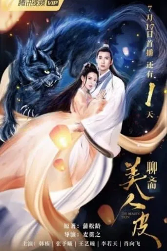 The Beauty Skin movie poster - Rated 10/10